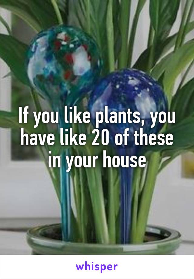 If you like plants, you have like 20 of these in your house