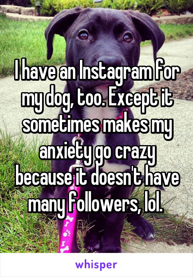 I have an Instagram for my dog, too. Except it sometimes makes my anxiety go crazy because it doesn't have many followers, lol. 