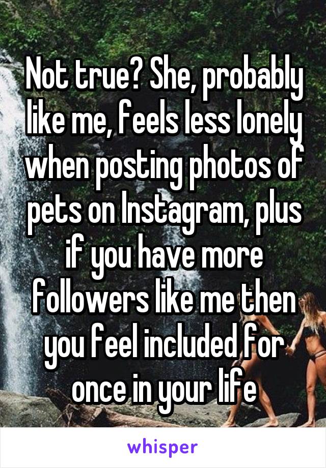 Not true? She, probably like me, feels less lonely when posting photos of pets on Instagram, plus if you have more followers like me then you feel included for once in your life