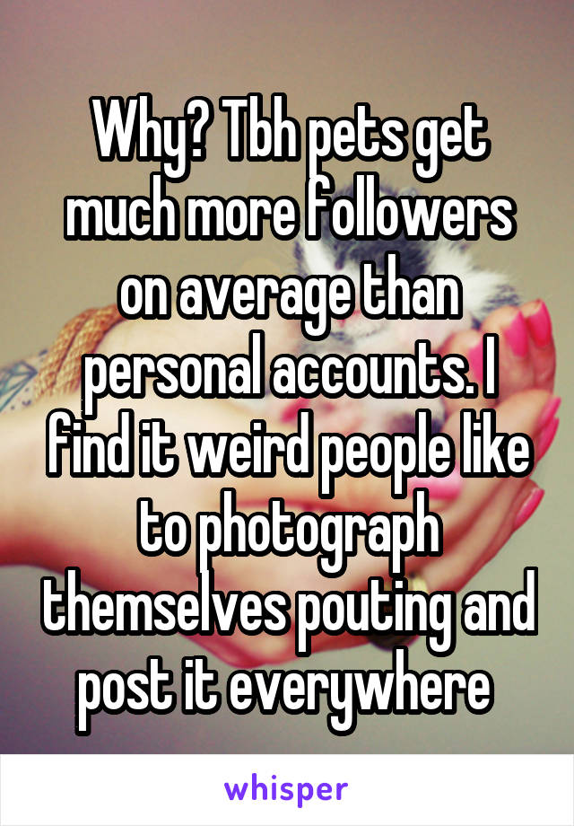 Why? Tbh pets get much more followers on average than personal accounts. I find it weird people like to photograph themselves pouting and post it everywhere 