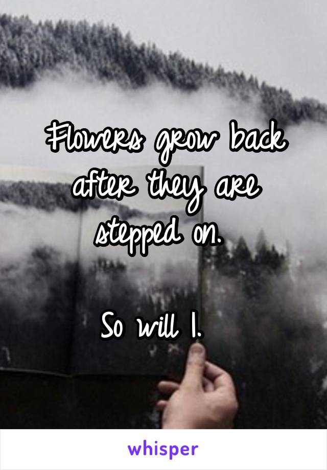 Flowers grow back after they are stepped on. 

So will I.  