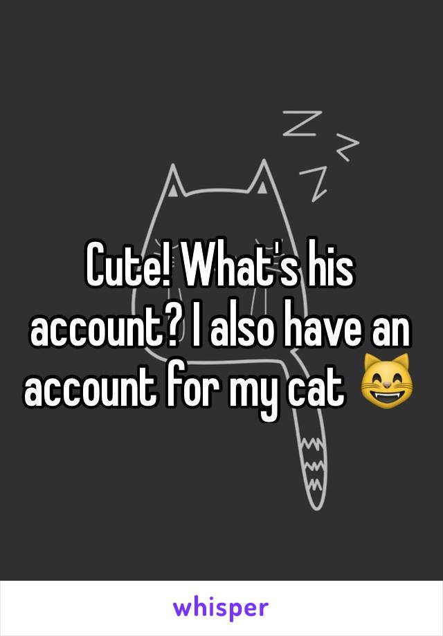 Cute! What's his account? I also have an account for my cat 😸