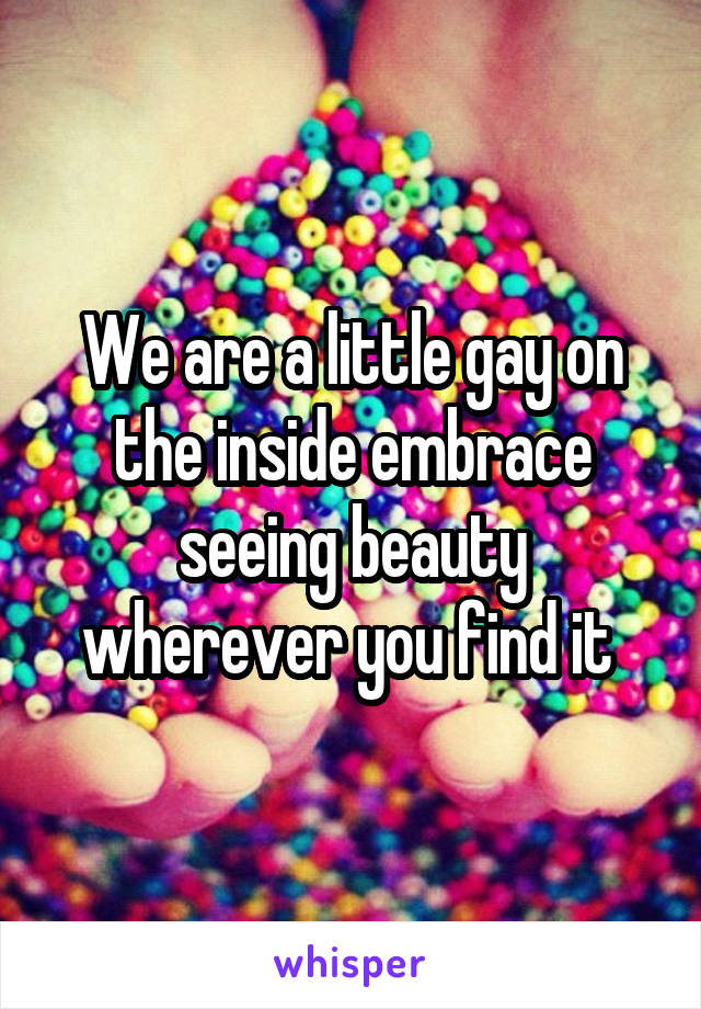 We are a little gay on the inside embrace seeing beauty wherever you find it 