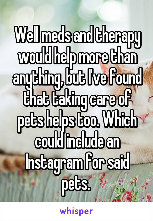 Well meds and therapy would help more than anything, but I've found that taking care of pets helps too. Which could include an Instagram for said pets. 