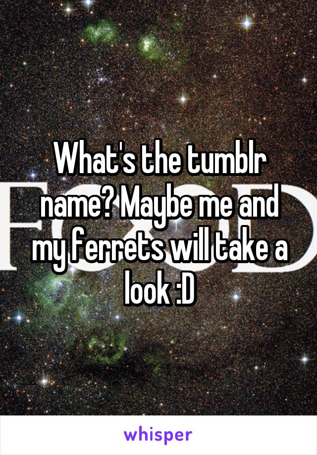 What's the tumblr name? Maybe me and my ferrets will take a look :D