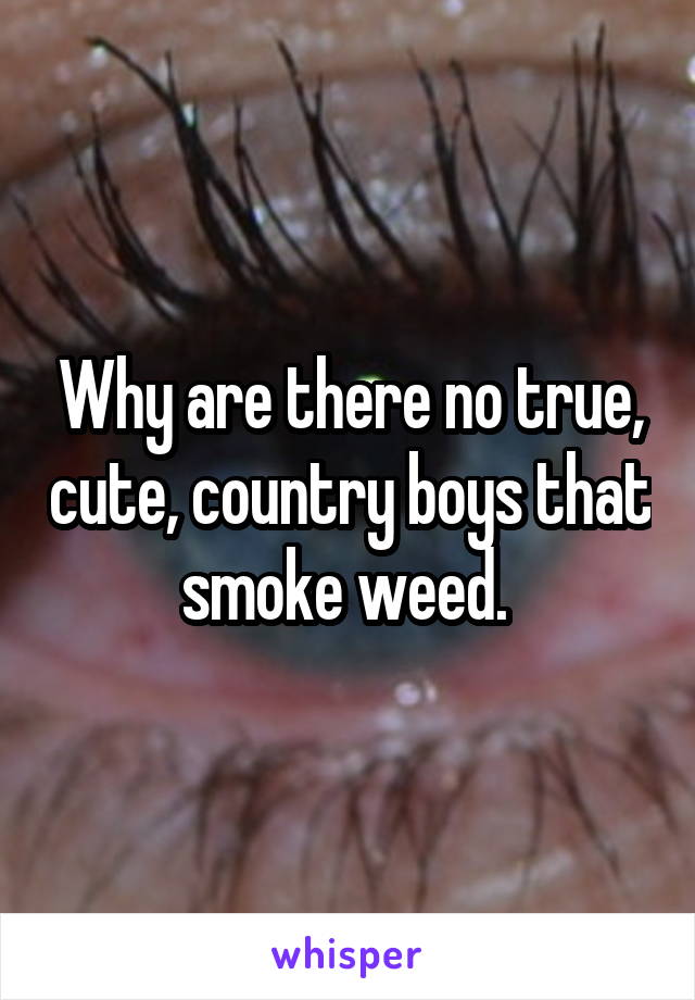 Why are there no true, cute, country boys that smoke weed. 