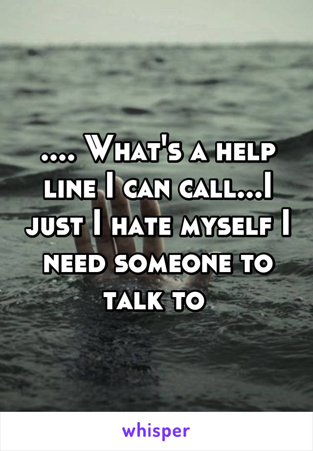 .... What's a help line I can call...I just I hate myself I need someone to talk to 