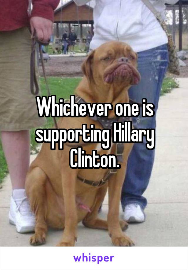 Whichever one is supporting Hillary Clinton.