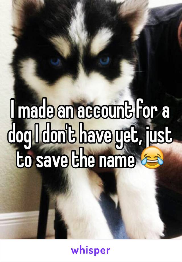 I made an account for a dog I don't have yet, just to save the name 😂