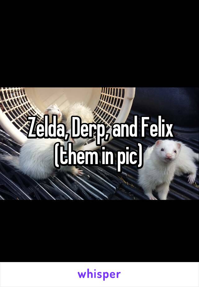 Zelda, Derp, and Felix (them in pic) 