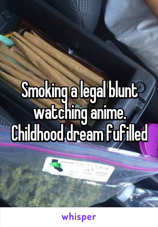 Smoking a legal blunt watching anime. Childhood dream fufilled