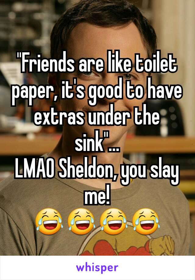 "Friends are like toilet paper, it's good to have extras under the sink"...
LMAO Sheldon, you slay me!
😂😂😂😂