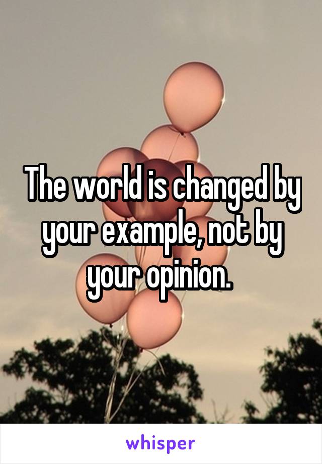 The world is changed by your example, not by your opinion. 