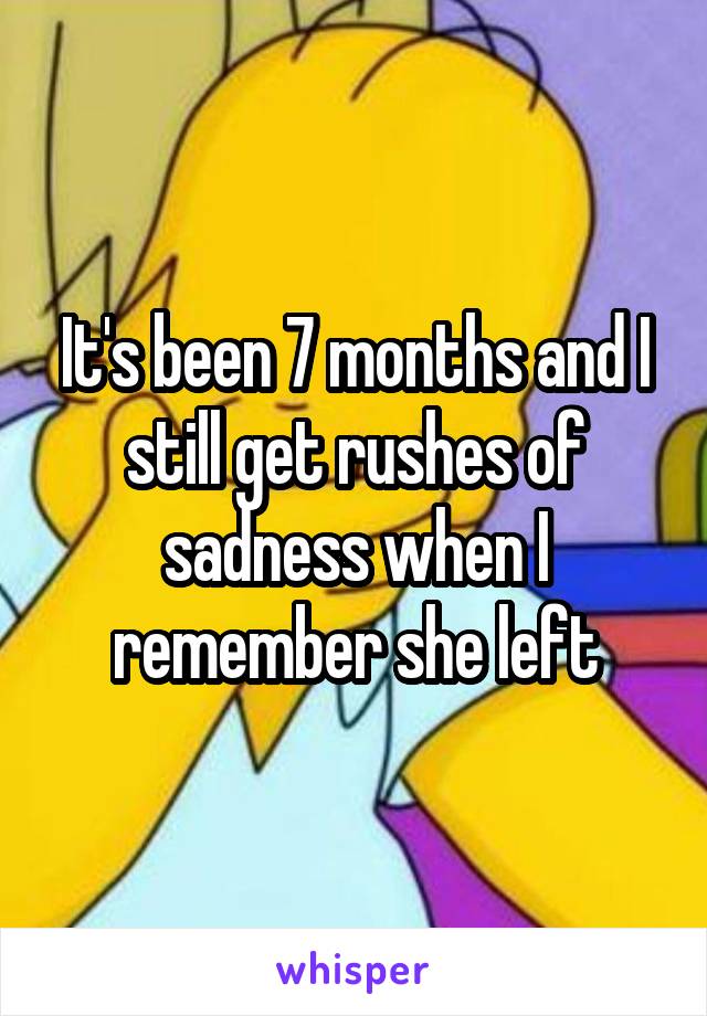 It's been 7 months and I still get rushes of sadness when I remember she left