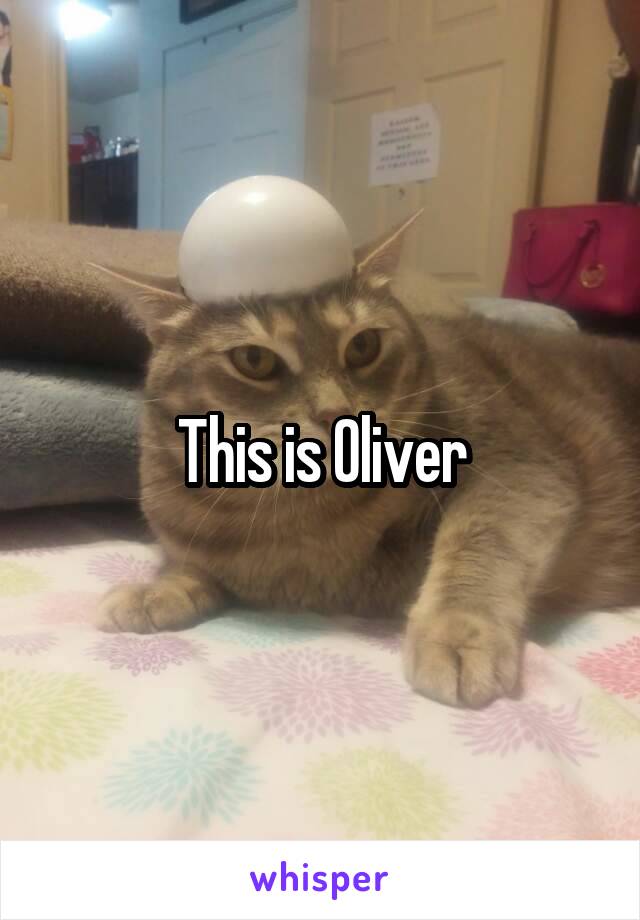 This is Oliver