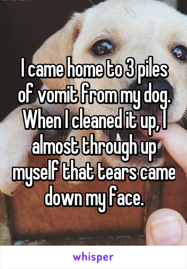 I came home to 3 piles of vomit from my dog. When I cleaned it up, I almost through up myself that tears came down my face.