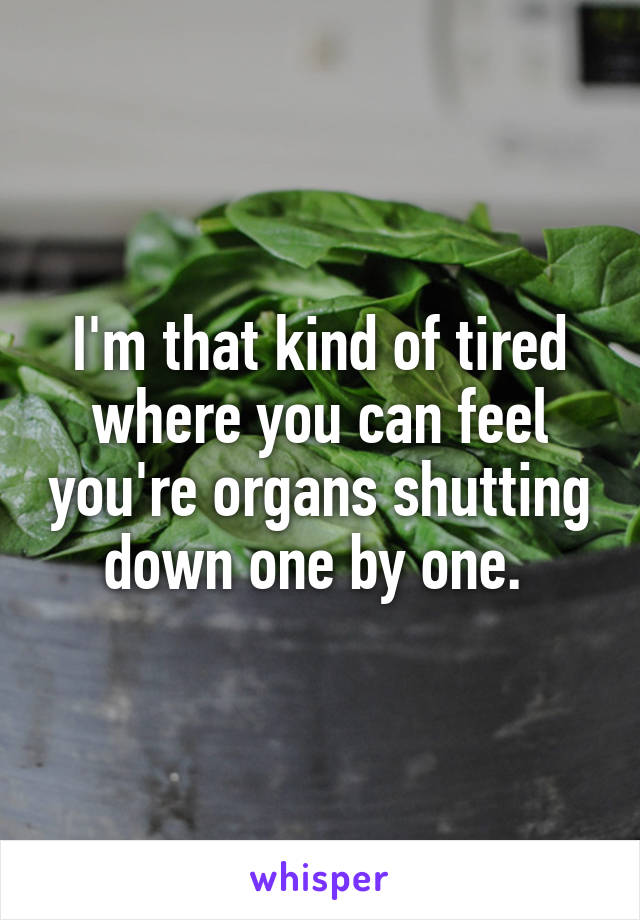 I'm that kind of tired where you can feel you're organs shutting down one by one. 