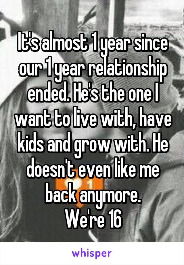 It's almost 1 year since our 1 year relationship ended. He's the one I want to live with, have kids and grow with. He doesn't even like me back anymore.
We're 16