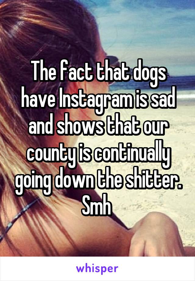 The fact that dogs have Instagram is sad and shows that our county is continually going down the shitter. Smh 