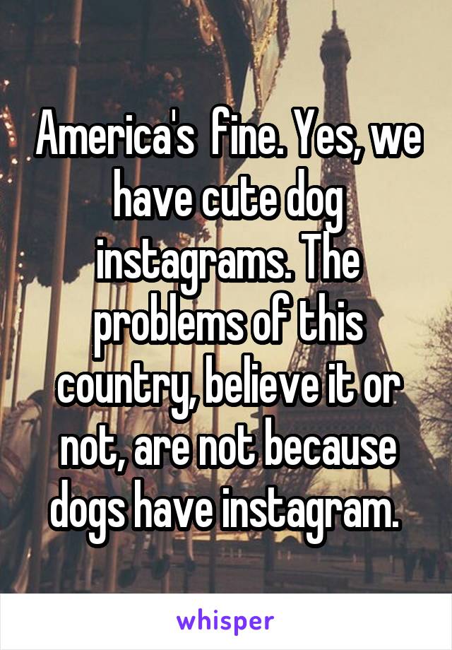 America's  fine. Yes, we have cute dog instagrams. The problems of this country, believe it or not, are not because dogs have instagram. 