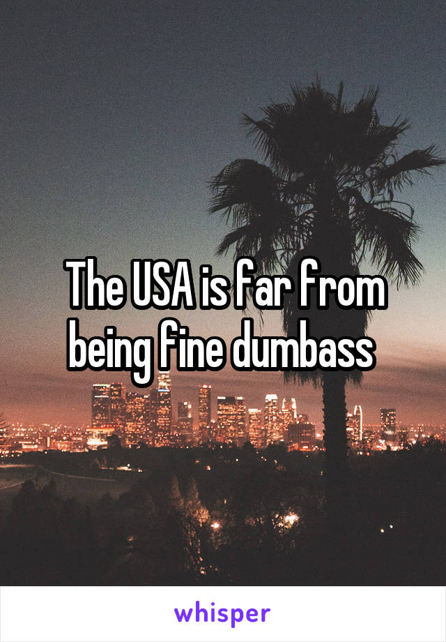 The USA is far from being fine dumbass 