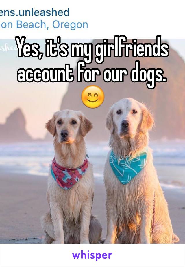 Yes, it's my girlfriends account for our dogs. 😊