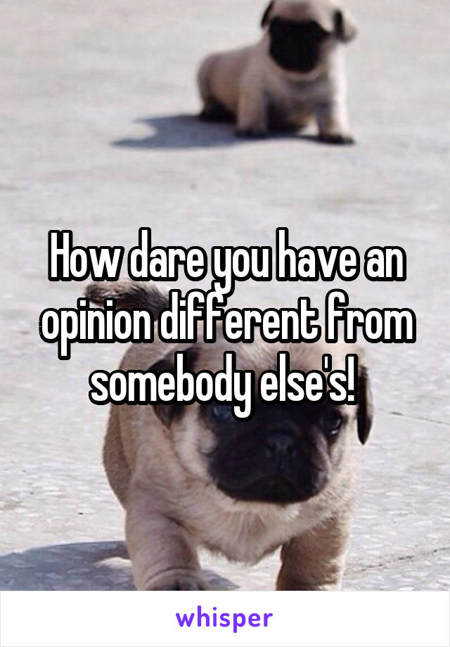 How dare you have an opinion different from somebody else's! 