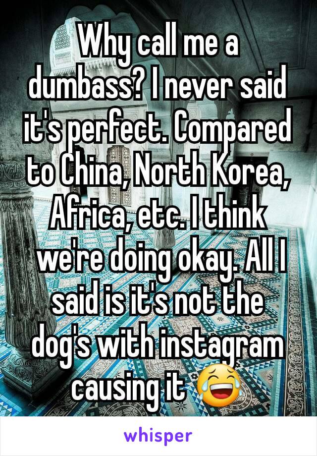 Why call me a dumbass? I never said it's perfect. Compared to China, North Korea, Africa, etc. I think
 we're doing okay. All I said is it's not the dog's with instagram causing it 😂