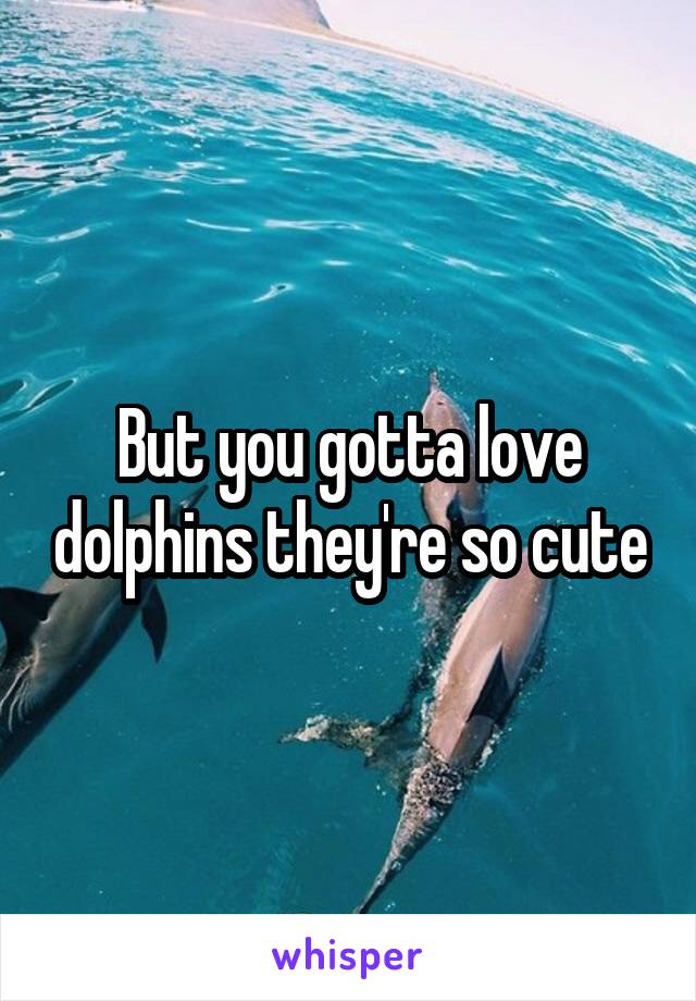 But you gotta love dolphins they're so cute