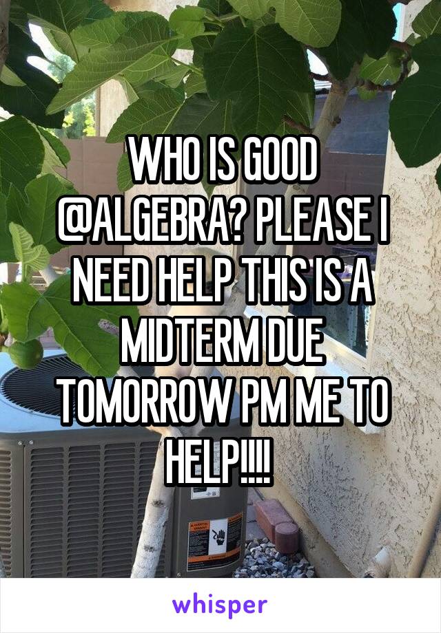 WHO IS GOOD @ALGEBRA? PLEASE I NEED HELP THIS IS A MIDTERM DUE TOMORROW PM ME TO HELP!!!! 