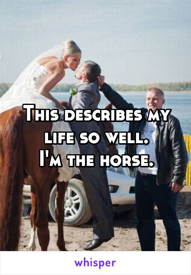 This describes my life so well.
I'm the horse.