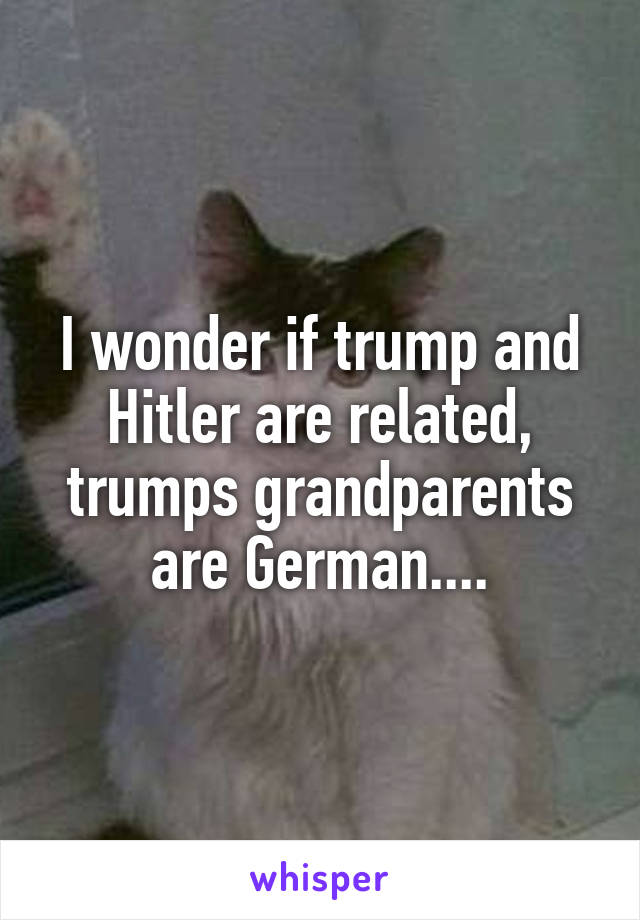 I wonder if trump and Hitler are related, trumps grandparents are German....