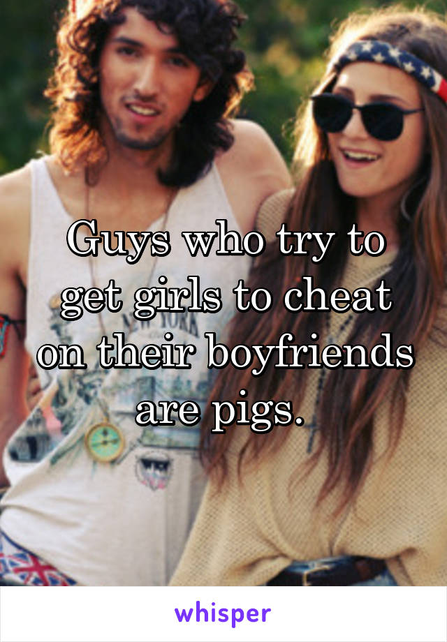 Guys who try to get girls to cheat on their boyfriends are pigs. 