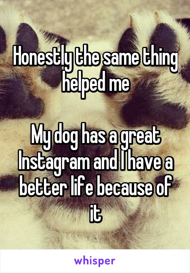 Honestly the same thing helped me

My dog has a great Instagram and I have a better life because of it