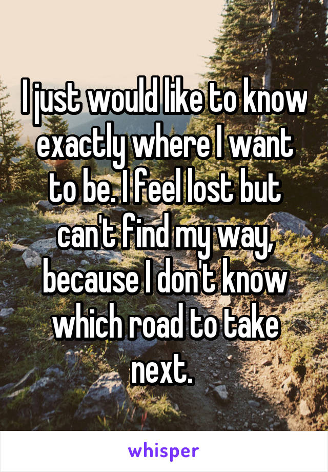 I just would like to know exactly where I want to be. I feel lost but can't find my way, because I don't know which road to take next. 