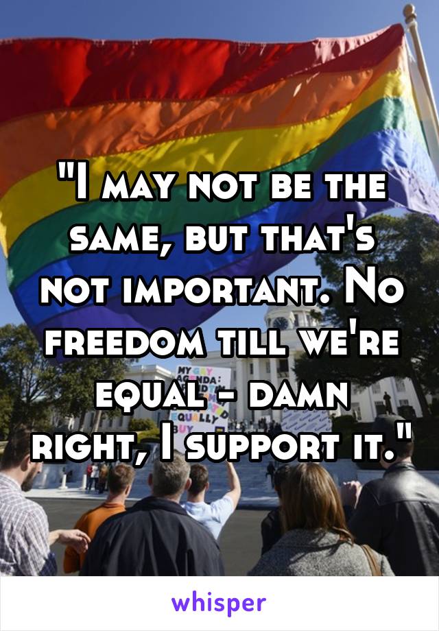 "I may not be the same, but that's not important. No freedom till we're equal - damn right, I support it."