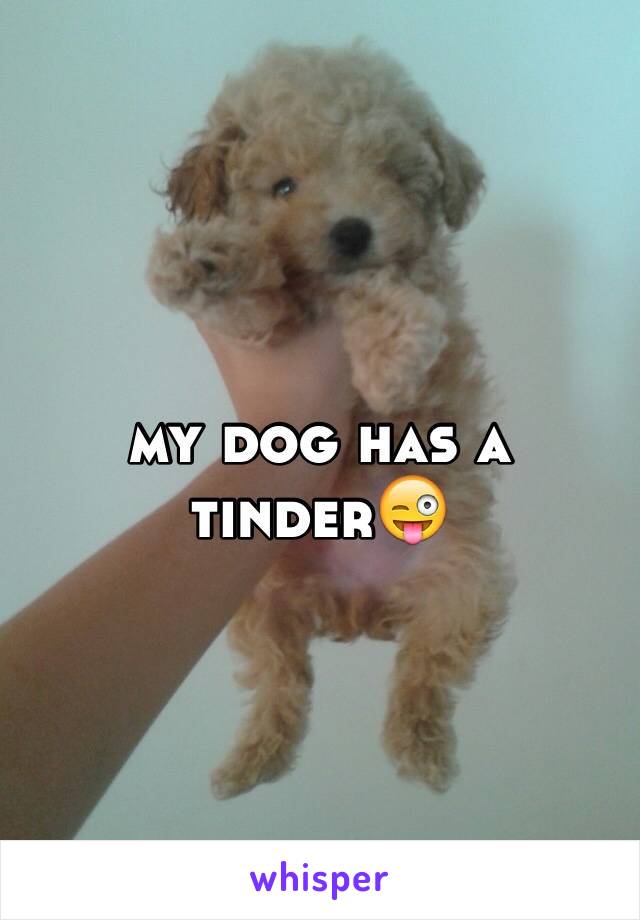 my dog has a tinder😜