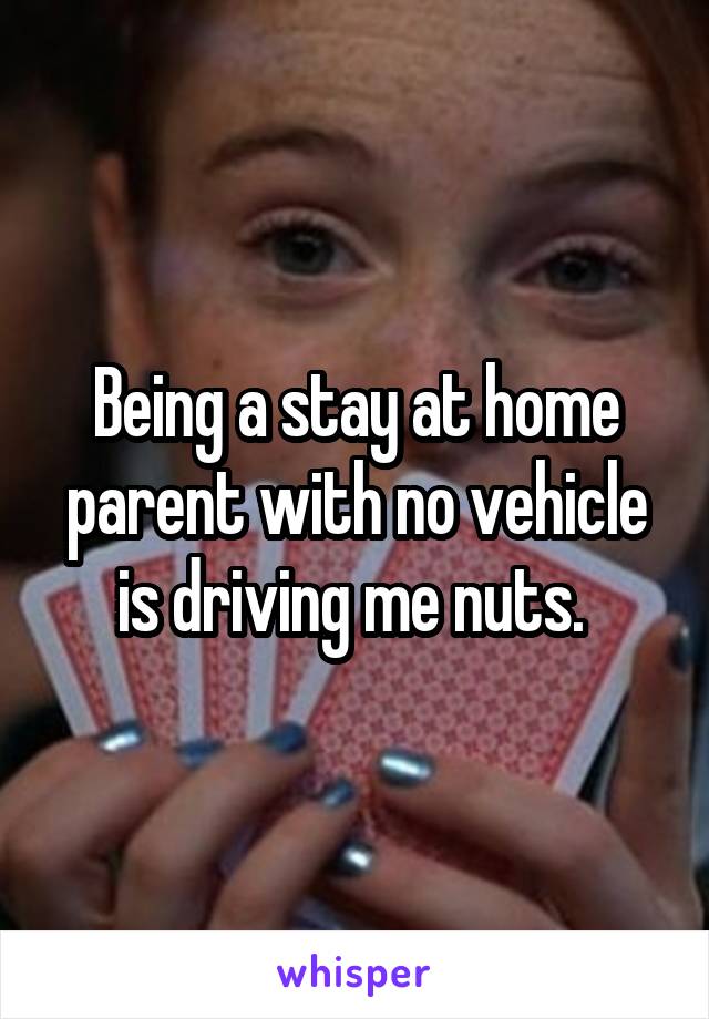 Being a stay at home parent with no vehicle is driving me nuts. 