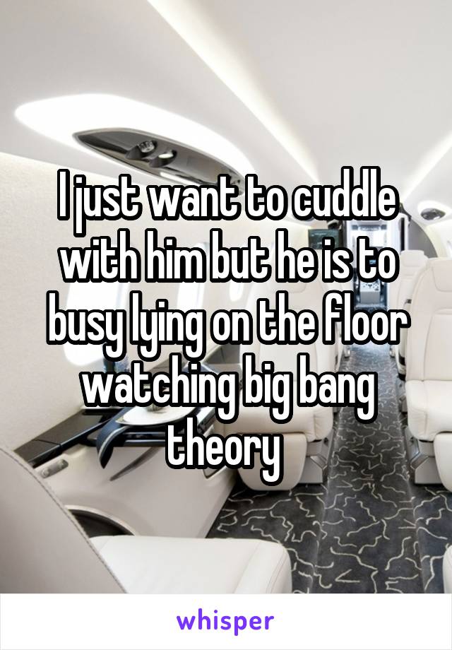 I just want to cuddle with him but he is to busy lying on the floor watching big bang theory 