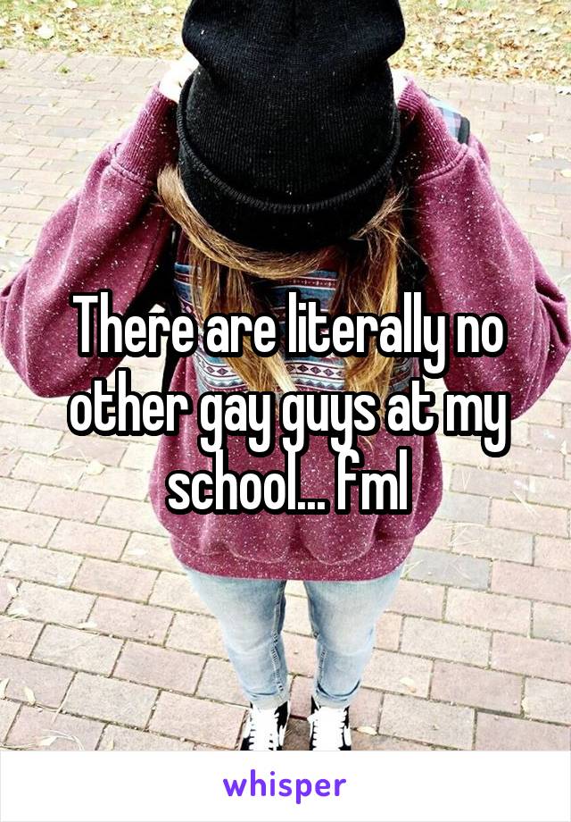 There are literally no other gay guys at my school... fml