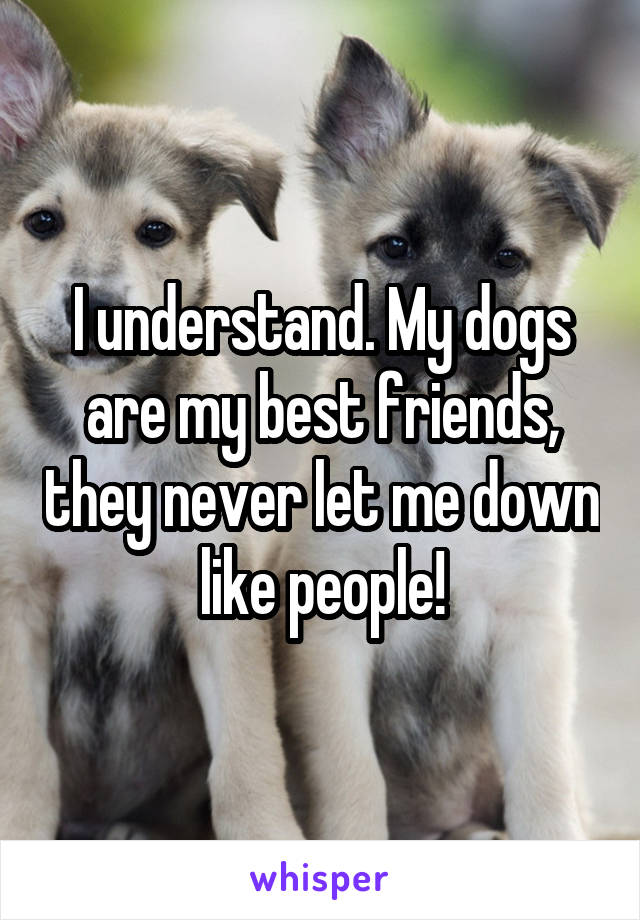 I understand. My dogs are my best friends, they never let me down like people!