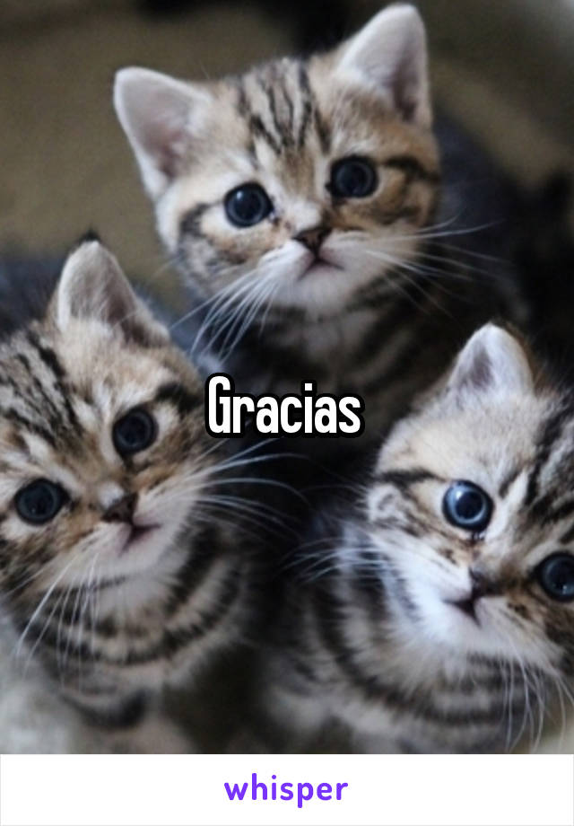 Gracias 