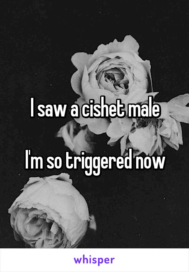 I saw a cishet male

I'm so triggered now