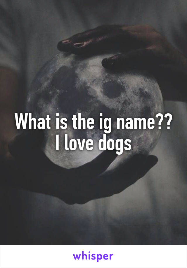 What is the ig name?? I love dogs