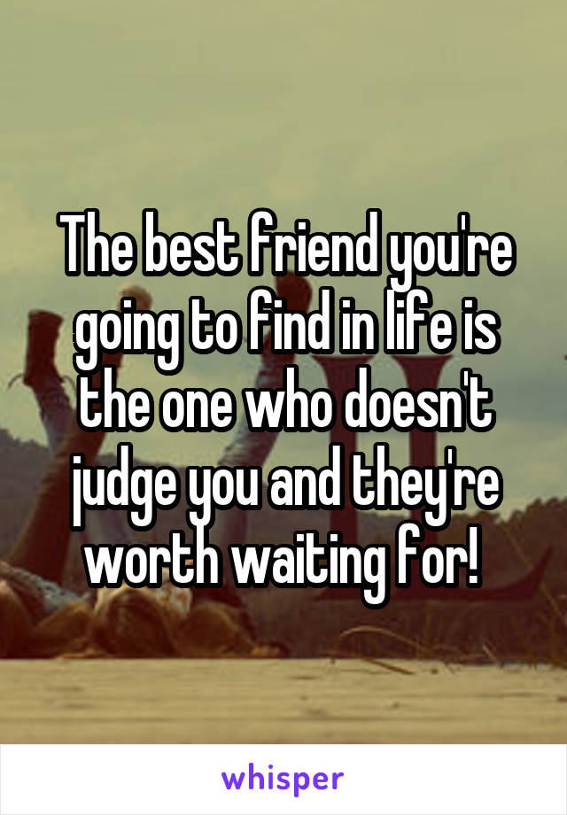 The best friend you're going to find in life is the one who doesn't judge you and they're worth waiting for! 