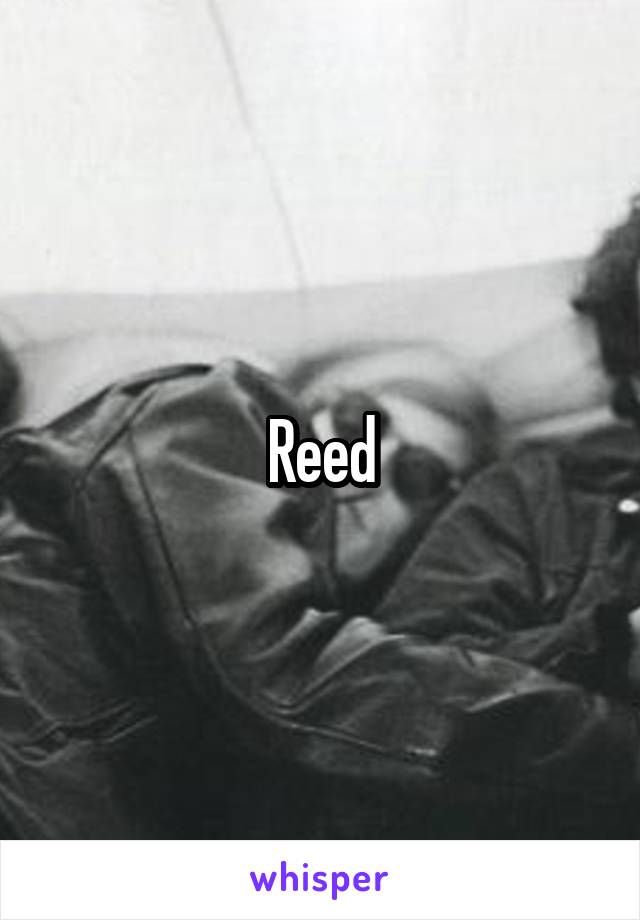 Reed