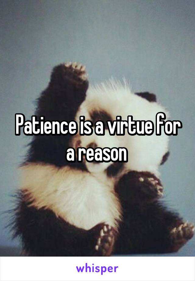 Patience is a virtue for a reason 