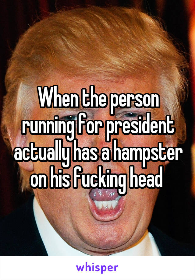 When the person running for president actually has a hampster on his fucking head 