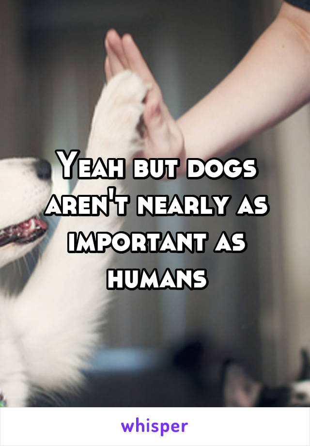 Yeah but dogs aren't nearly as important as humans