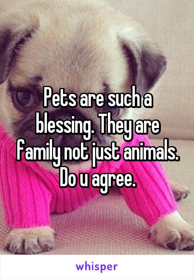 Pets are such a blessing. They are family not just animals. Do u agree.